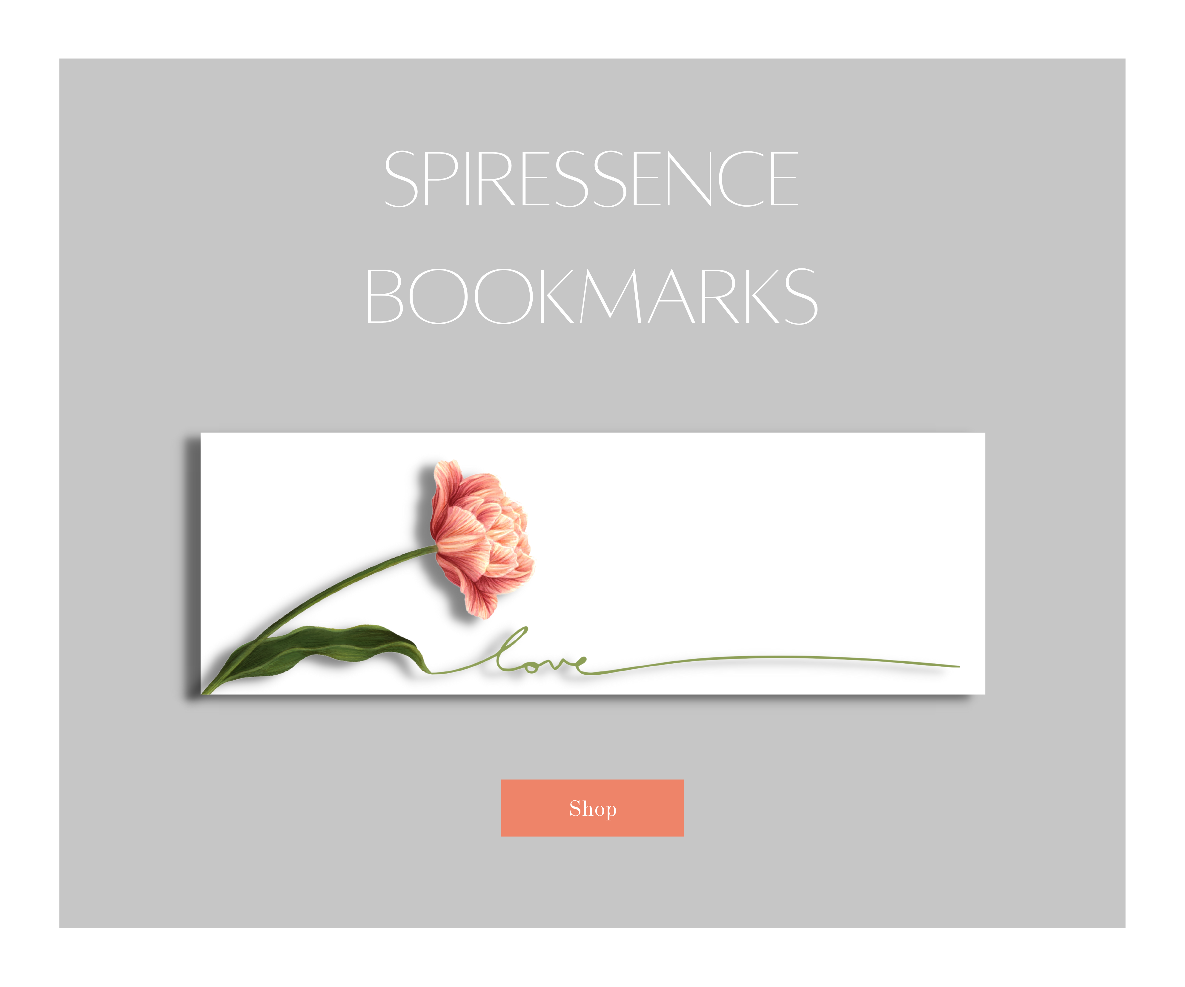 Website product banner by Melissa Sherley